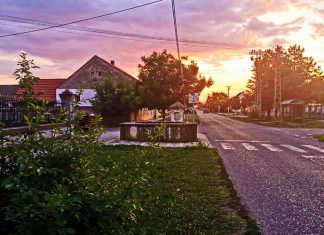 Културно-уметнички, забавни и спортски програм за славу