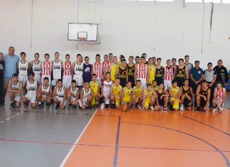 Празник кошарке у Доњем Товарнику