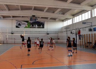 Сутра Фестивал одбојке у Доњем Товарнику