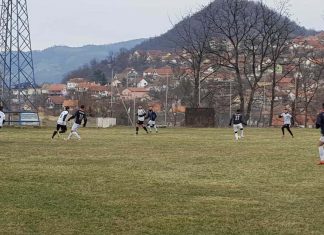 Две победе Слободе