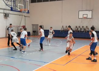 Преглед кошаркашких лига