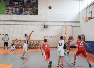 Два дана кошарке у Доњем Товарнику